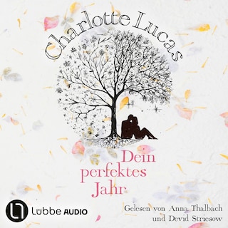 Dein perfektes Jahr als Hörbuch