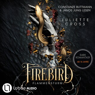 Firebird - Flammensturm, Teil 1 als Hörbuch