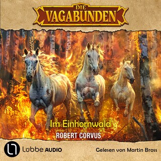 Im Einhornwald - Die Vagabunden, Teil 3 als Hörbuch