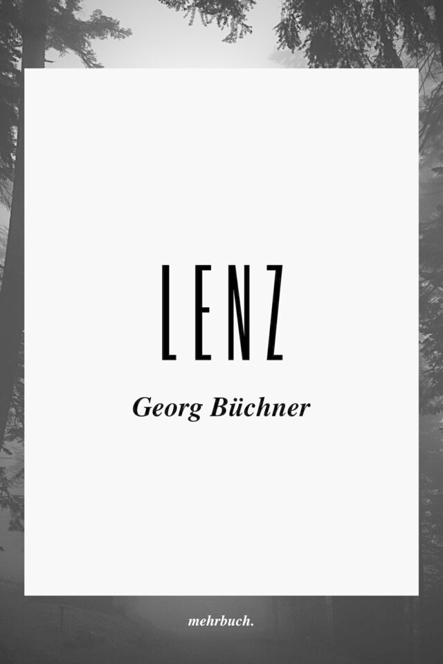 Buchcover für Lenz