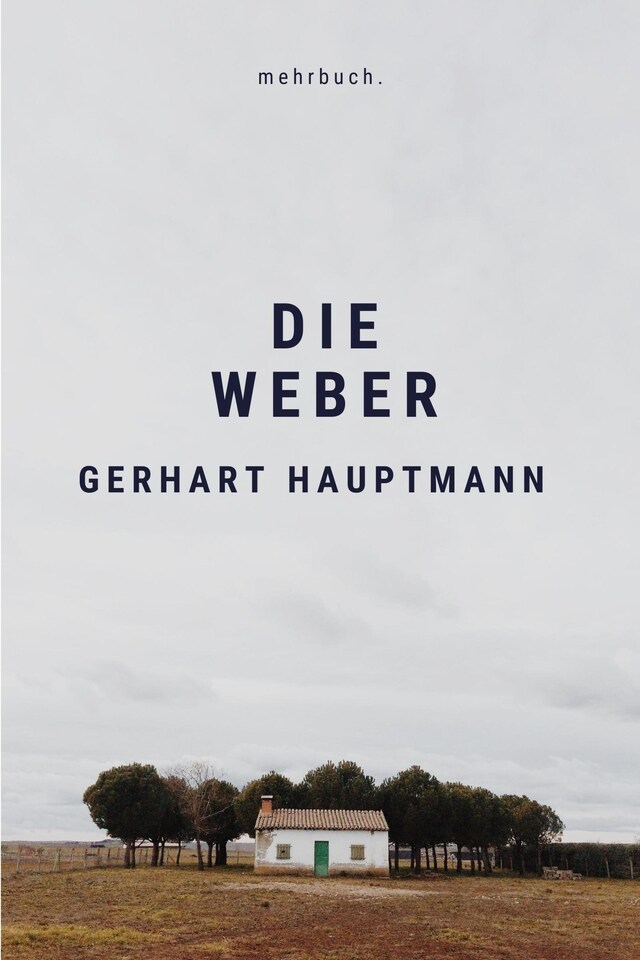 Book cover for Die Weber