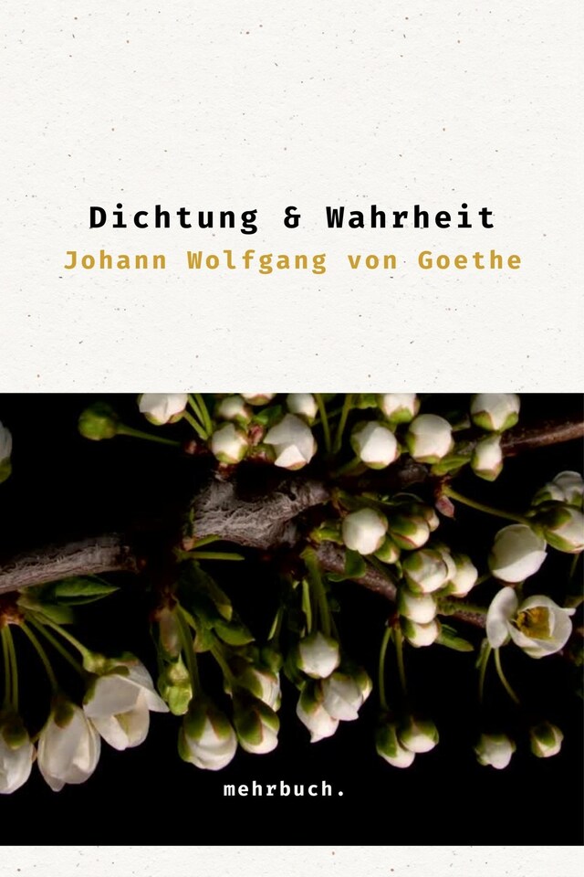 Buchcover für Dichtung und Wahrheit