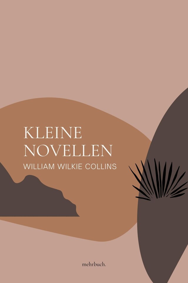 Bokomslag for Kleine Novellen