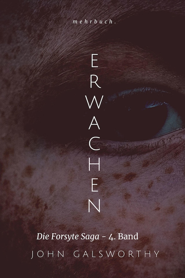 Copertina del libro per Erwachen