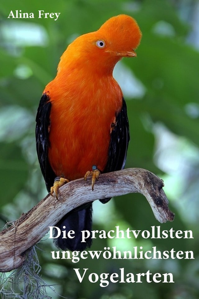 Book cover for Die prachvollsten ungewöhnlichsten Vogelarten