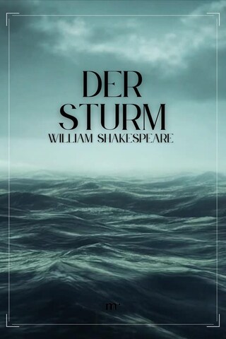 Der Sturm bookCoverFor