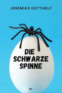 Die schwarze Spinne
