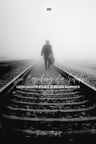 Die Erziehung der Gefühle bookCoverFor