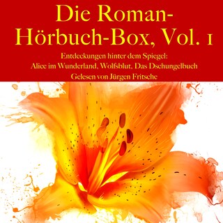 Die Roman-Hörbuch-Box, Vol. 1: Entdeckungen hinter dem Spiegel bookCoverFor