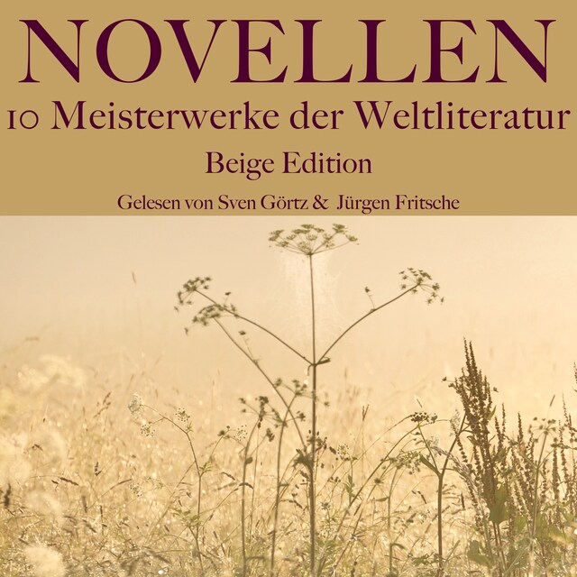 Boekomslag van Novellen: Zehn Meisterwerke der Weltliteratur