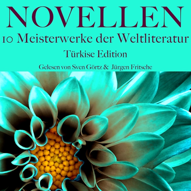 Buchcover für Novellen: Zehn Meisterwerke der Weltliteratur