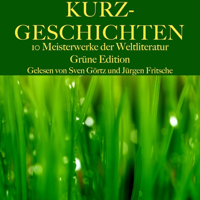 Book cover for Kurzgeschichten: Zehn Meisterwerke der Weltliteratur