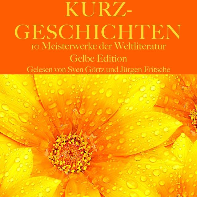 Buchcover für Kurzgeschichten: Zehn Meisterwerke der Weltliteratur