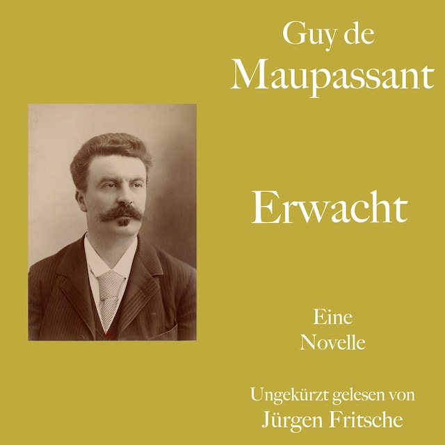 Kirjankansi teokselle Guy de Maupassant: Erwacht