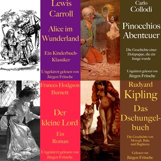 Die Abenteuer Box: 4 Hörbuch-Klassiker für die Jugend als Hörbuch