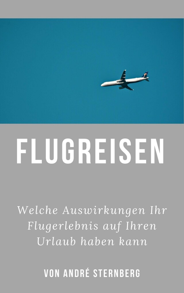 Book cover for Flugreisen - Dinge die Sie wissen sollten