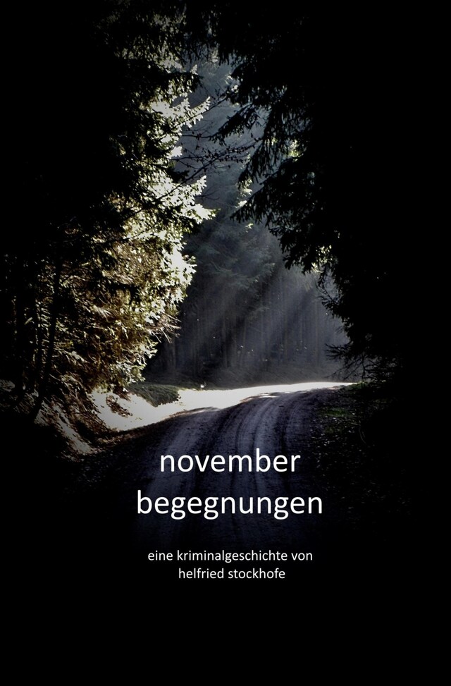 Buchcover für Novemberbegegnungen