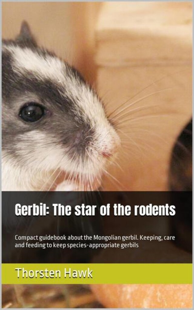 Bokomslag för Gerbil: The star of the rodents