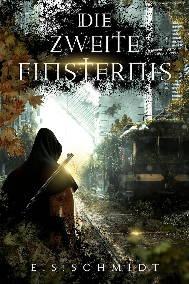 Book cover for Die zweite Finsternis