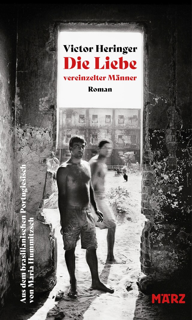 Book cover for Die Liebe vereinzelter Männer