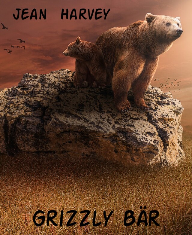 Buchcover für Grizzly Bär
