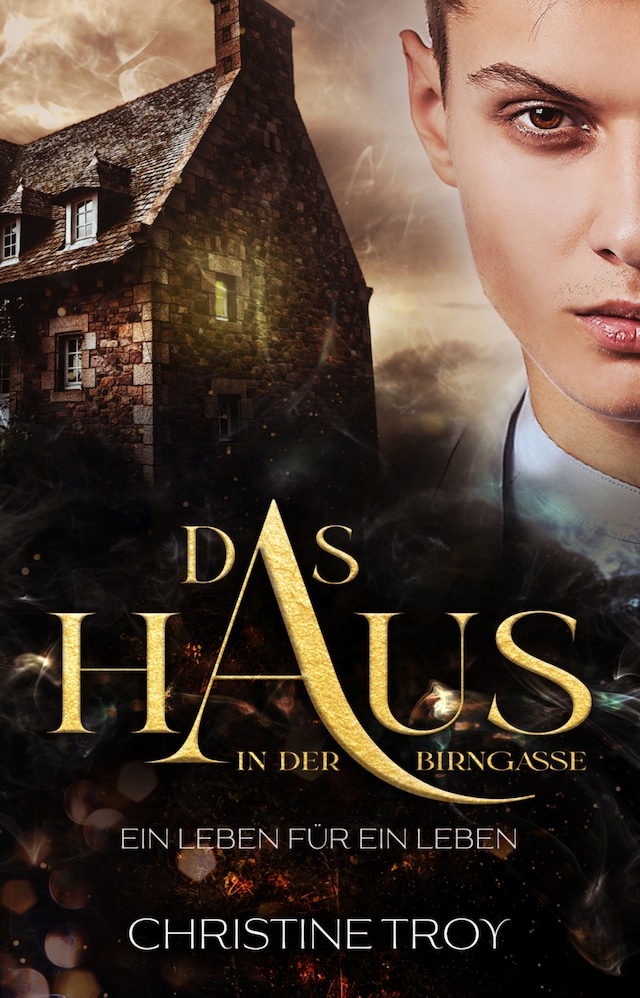 Book cover for Das Haus in der Birngasse