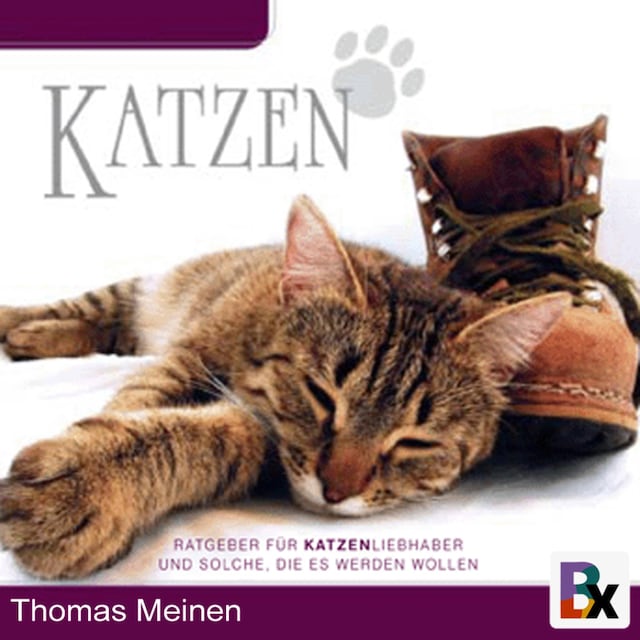 Book cover for Wissenswertes für Katzenliebhaber/innen und solche, die es werden wollen
