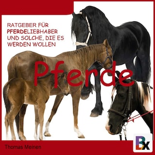 Ratgeber für Pferde-Liebhaber und solche, die es werden wollen als Hörbuch