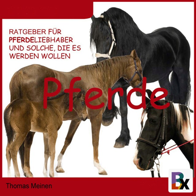 Book cover for Ratgeber für Pferde-Liebhaber und solche, die es werden wollen