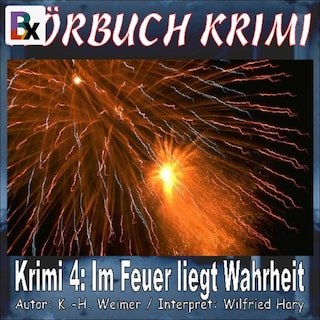 Hörbuch Krimi 004: Im Feuer liegt Wahrheit als Hörbuch
