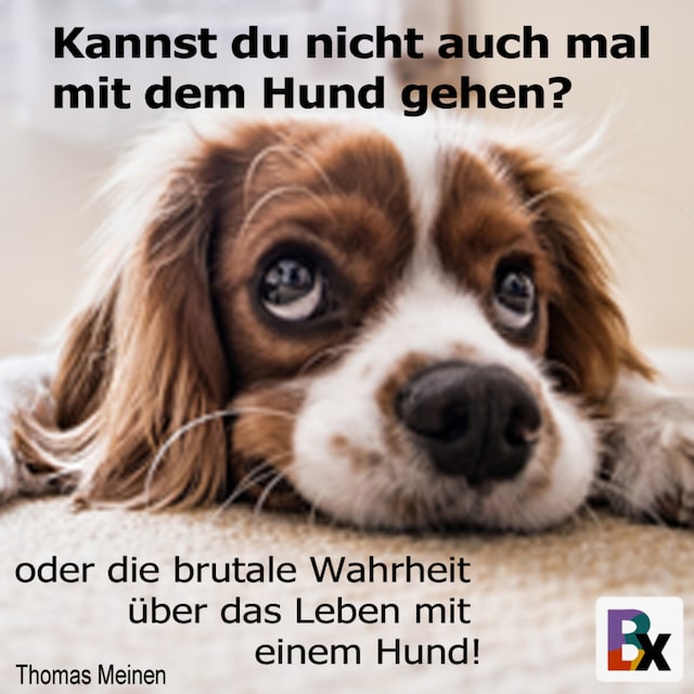 Kirjankansi teokselle Kannst du nicht auch mal mit dem Hund gehen?