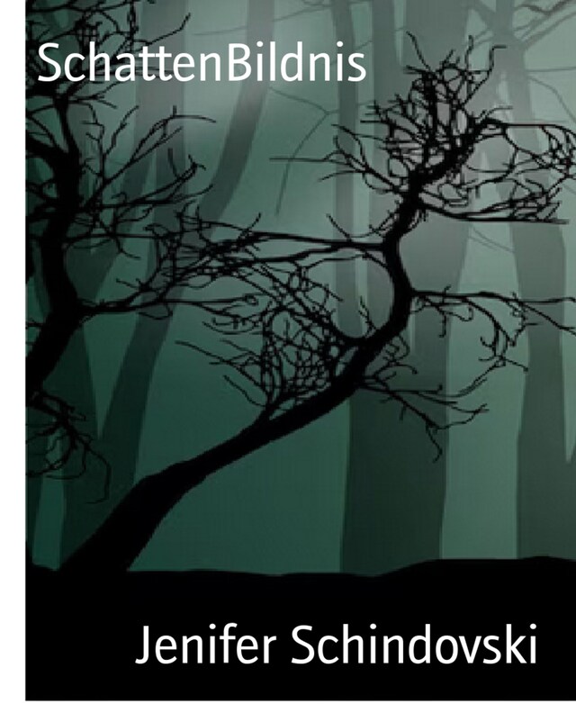 Book cover for SchattenBildnis