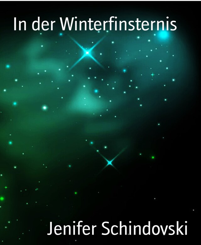 Book cover for In der Winterfinsternis