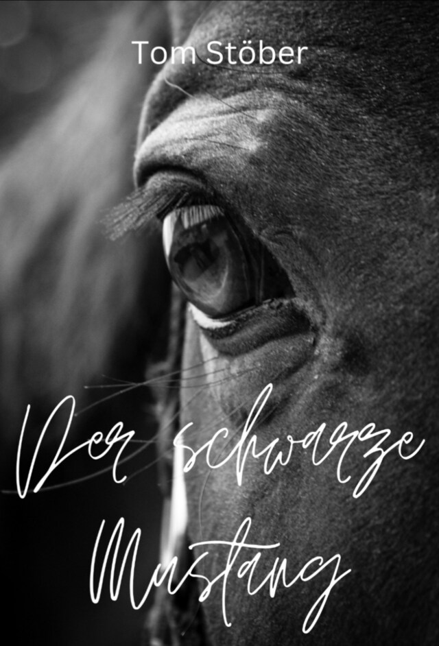 Buchcover für Der schwarze Mustang