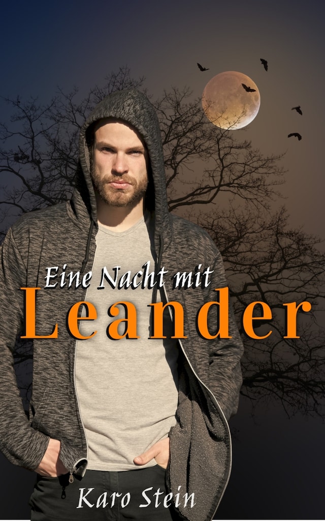 Buchcover für Eine Nacht mit Leander