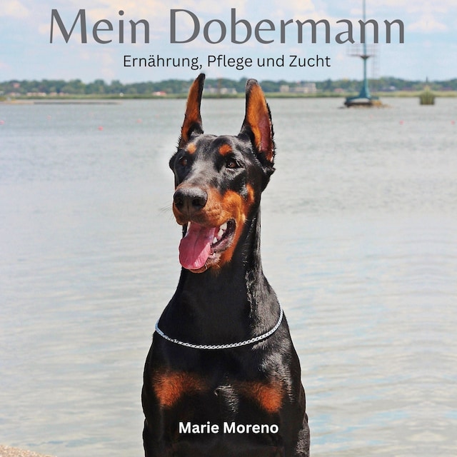 Book cover for Mein Dobermann