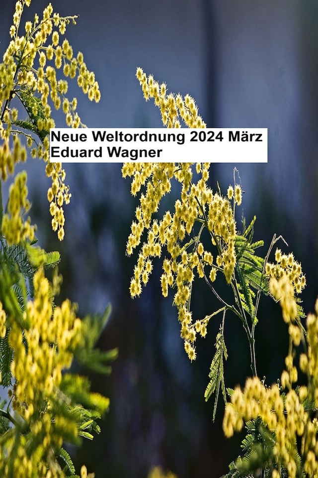 Book cover for Neue Weltordnung 2024 März