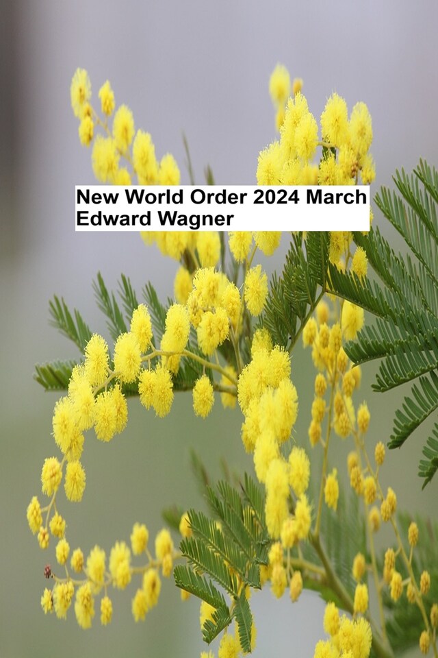 Buchcover für New World Order - 2024 March