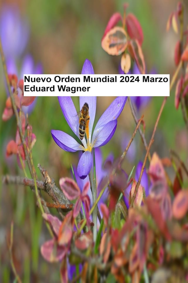 Book cover for Nuevo Orden Mundial - Marzo 2024