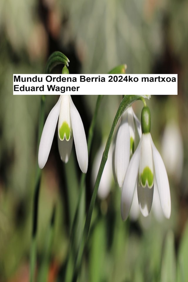 Book cover for Mundu Ordena Berria - 2024ko martxoa