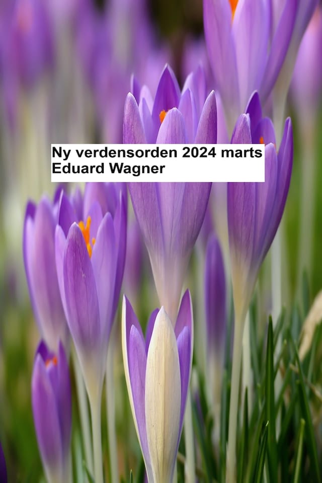 Buchcover für Ny Verdensorden - marts 2024