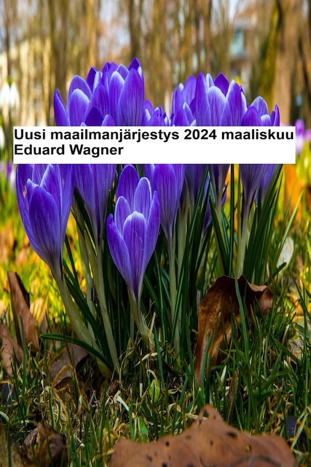 Book cover for Uusi maailmanjärjestys - 2024 maaliskuu