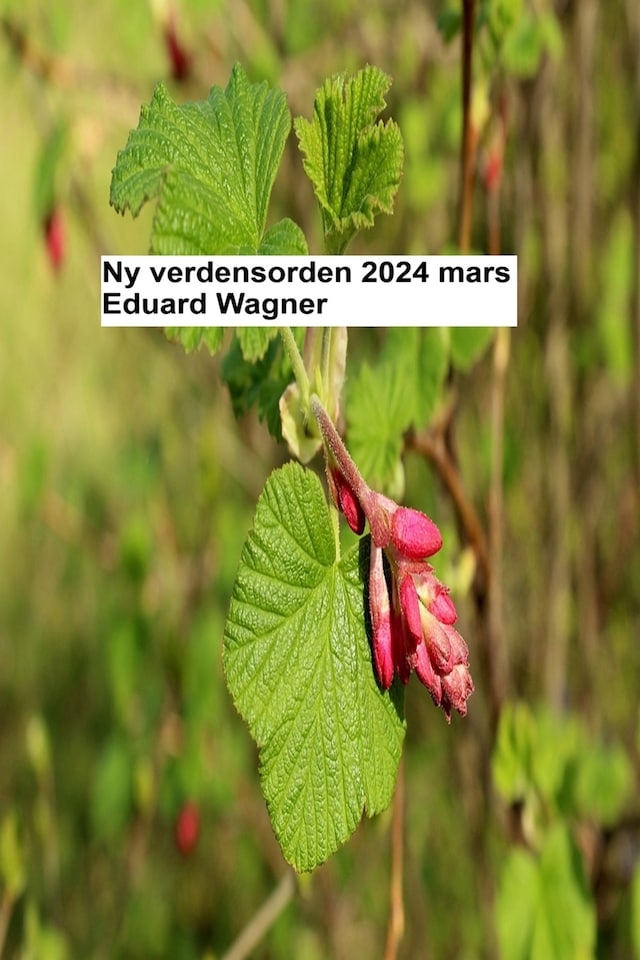 Bogomslag for Ny verdensorden - mars 2024