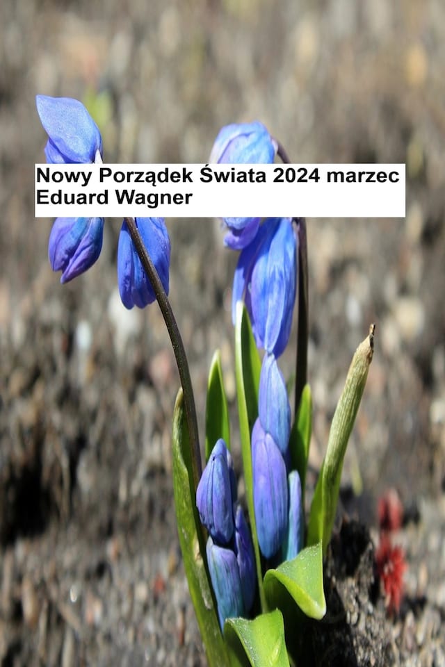 Book cover for Nowy Porządek Świata – marzec 2024 r