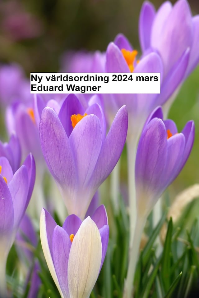 Book cover for Ny världsordning - 2024 mars