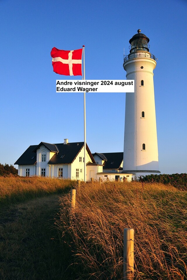 Book cover for Andre visninger 2024 august