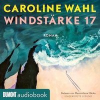 Windstärke 17