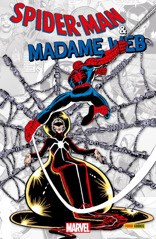Book cover for SPIDER-MAN & MADAME WEB