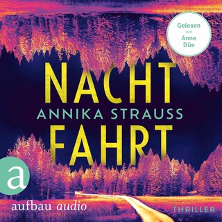 Nachtfahrt als Hörbuch