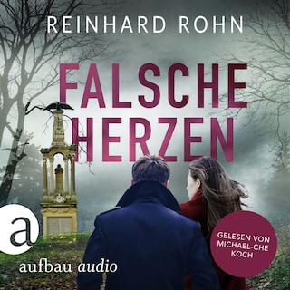 Falsche Herzen - Jan Schiller ermittelt, Band 1 (Ungekürzt) als Hörbuch